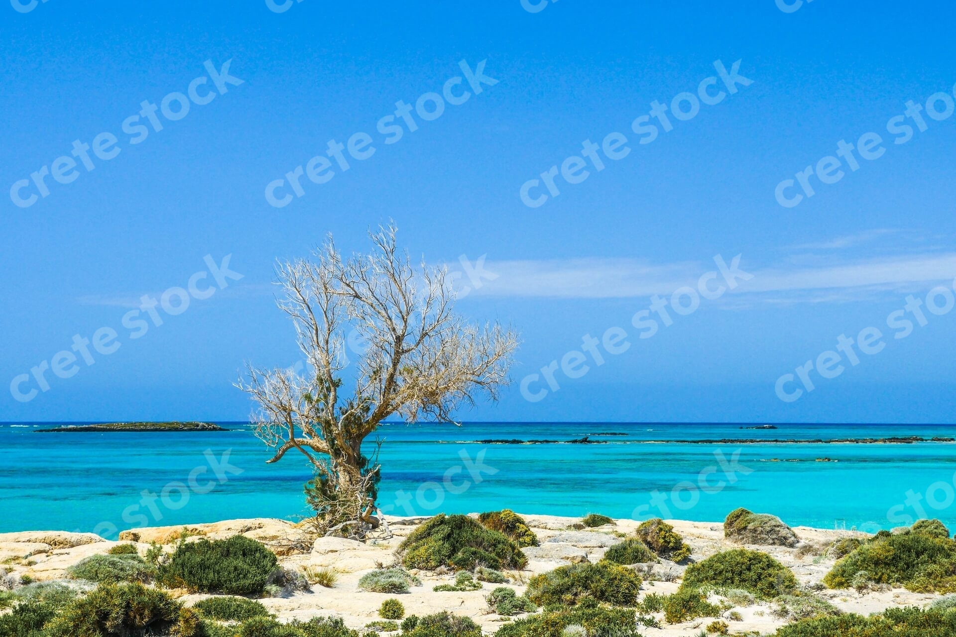 elafonisi-pink-beach-in-chania